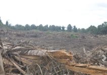 Indikasi Penyalahgunaan Bantuan Pertanian Di Luwuk Timur