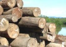 Puluhan Kubik Kayu Bantuan Rumah Ibadah di Desa Huhak Diduga Raib