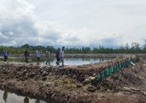 GAKKUM Periksa Pemilik Tambak Udang di Desa Polo
