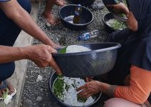 Biosaka Solusi Pengganti Pupuk Kimia