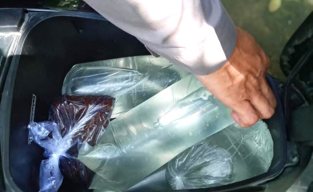 IMG_20230829_144721_(1024_x_865_piksel)