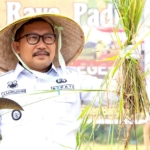 Kepemimpinan Amirudin Sukses Bangun Infrastruktur Jalan di Batui, Begini Tanggapan Masyarakat