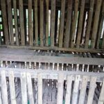 Minim Pendampingan, Bantuan Ayam Petelur Tidak Produktif