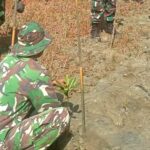 Libatkan Mahasiswa dan TNI – Polri, Tanam Ribuan Mangrove