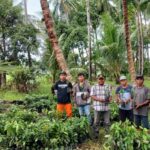 Pemerintahan ATFM Sahuti Permintaan Kelompok Perkebunan di Nonong
