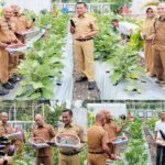 Dinas TPHP Banggai Ubah Taman Ale To sebagai Kebun Edukasi & Inovasi Tanaman Hortikultura