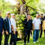 Pj. Sekab dan Kadis TPHP Banggai Kunker Di Lokasi Budidaya Kelapa Bido