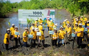 Pertamina Regional Indonesia Timur Tanam 1.000 Mangrove di Banggai, Wujud Nyata Kepedulian Lingkungan