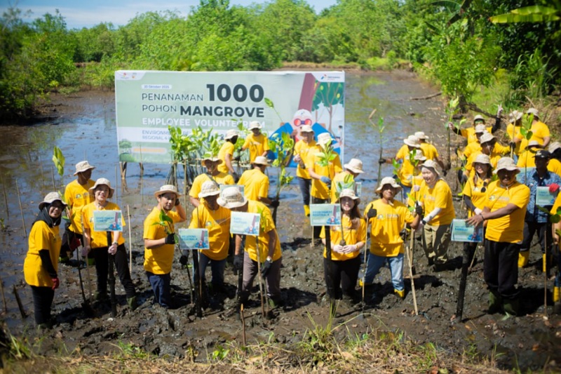 IMG_20251028_095522_(800_x_533_piksel)