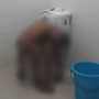 Pria Asal Luwuk Timur Ditemukan Meninggal Dalam Kamar Mandi Hotel