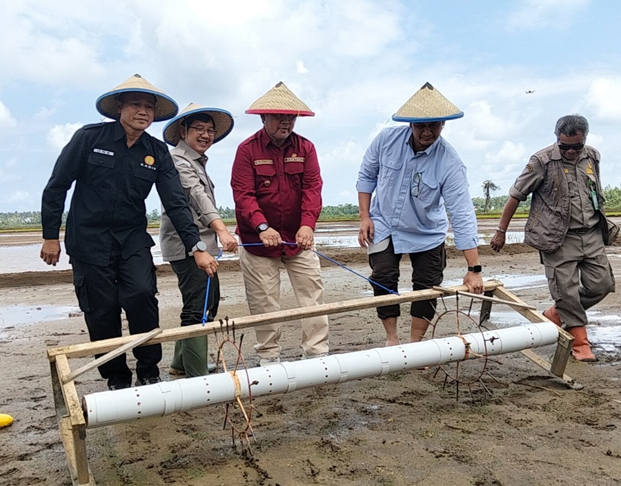Syukuran tutup tanam padi cetak sawah JOB Tomori