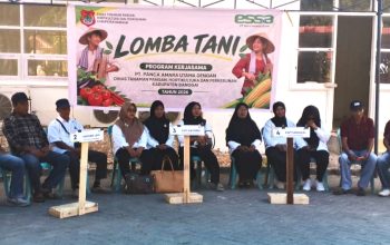 Lomba Tani Jadi Evaluasi Kelompok Tani di Banggai